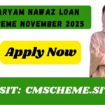 Maryam Nawaz Loan Scheme November 2025