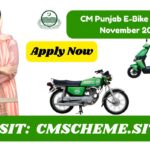 CM Punjab E‑Bike Scheme